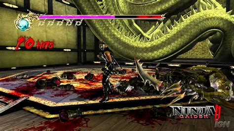 Ninja Gaiden: Black A Ninja Story With Gore and Epic Combat!